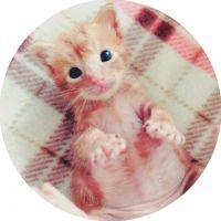 NYA! 会員画像