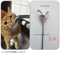 けりけりでもめんま 会員画像
