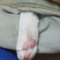 みー&ちー 会員画像
