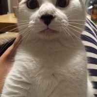 メルチン 会員画像