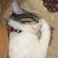 すはら 会員画像