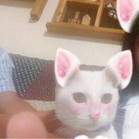 おかめぐ 会員画像