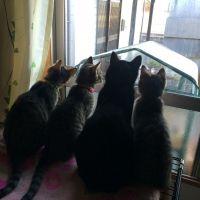 会員画像