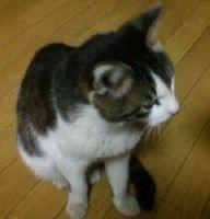 会員画像