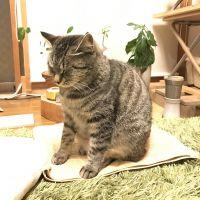 だいごろう1080 会員画像