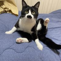 ひがしのうみさん