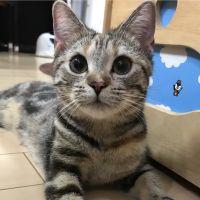 くっきー(^^) 会員画像