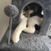 会員画像
