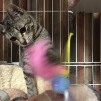 sakkochan 会員画像