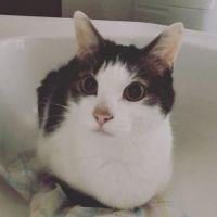 akihsoy 会員画像