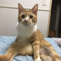 Mari817 会員画像