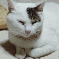 会員画像
