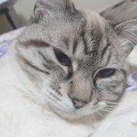 会員画像