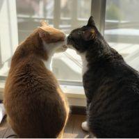 会員画像