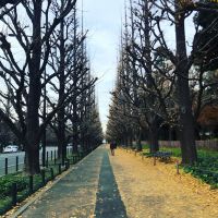 会員画像