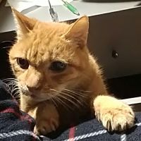 会員画像