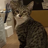 タカギヨウコ 会員画像