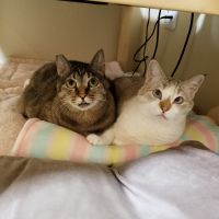 nakko75 会員画像
