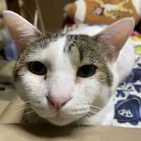 ソラチム 会員画像