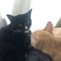 まどかや 会員画像