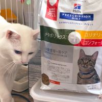 sera0212 会員画像