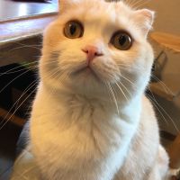 monechi 会員画像