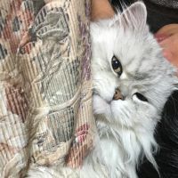ルディー 会員画像