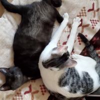 小野 樹 会員画像