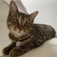 かぴぴ 会員画像