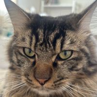 hinamoco 会員画像