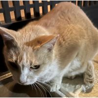 ucさん