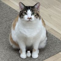 くるみるく0 会員画像