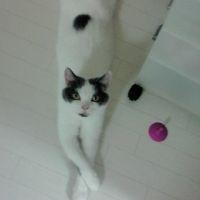 kannadukisakura 会員画像