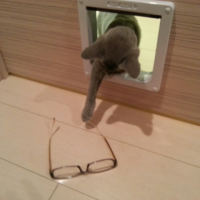 Harukikki 会員画像