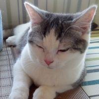 chi-ki.F 会員画像