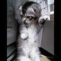 ひとみん511さん