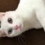 ユーザ画像