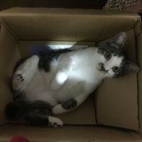 会員画像