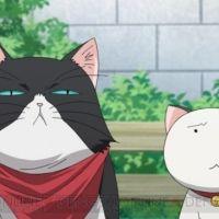 ゴースト 会員画像