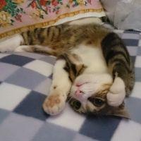 ぜんぜん 会員画像