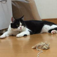 ささん 会員画像