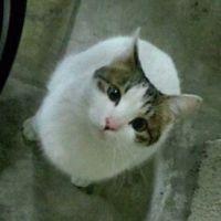会員画像