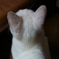 会員画像