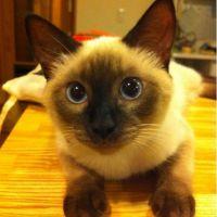 m10432jp 会員画像