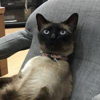 会員画像