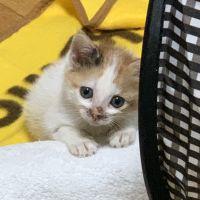 MiMi20 会員画像