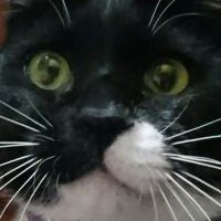 チェック 会員画像