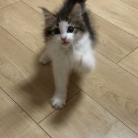 会員画像