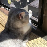 まるてらさん