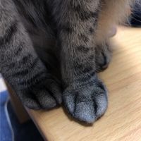 会員画像
